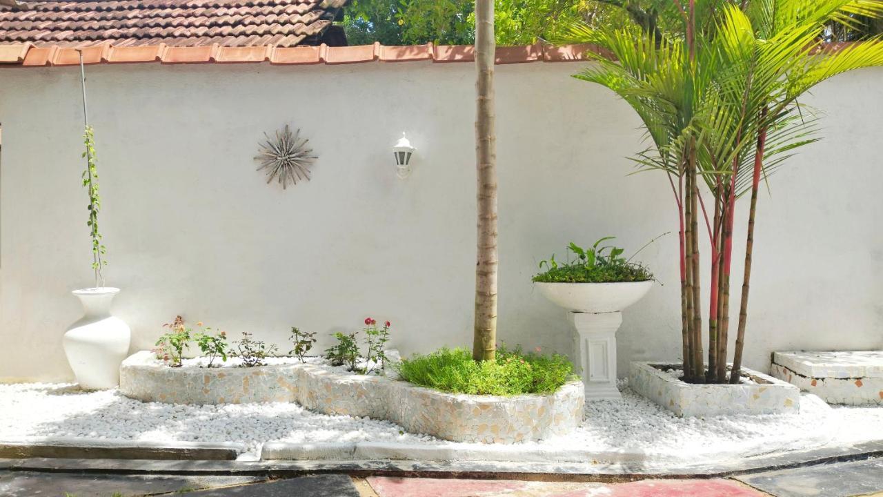Hotel Boho Garden Mirissa Exterior foto